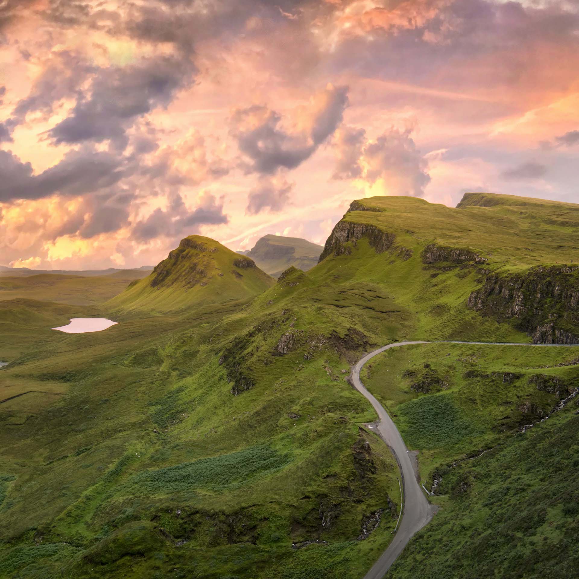 green scenery with road